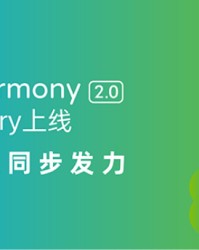  德甲半程冠军争夺进入白热化阶段  